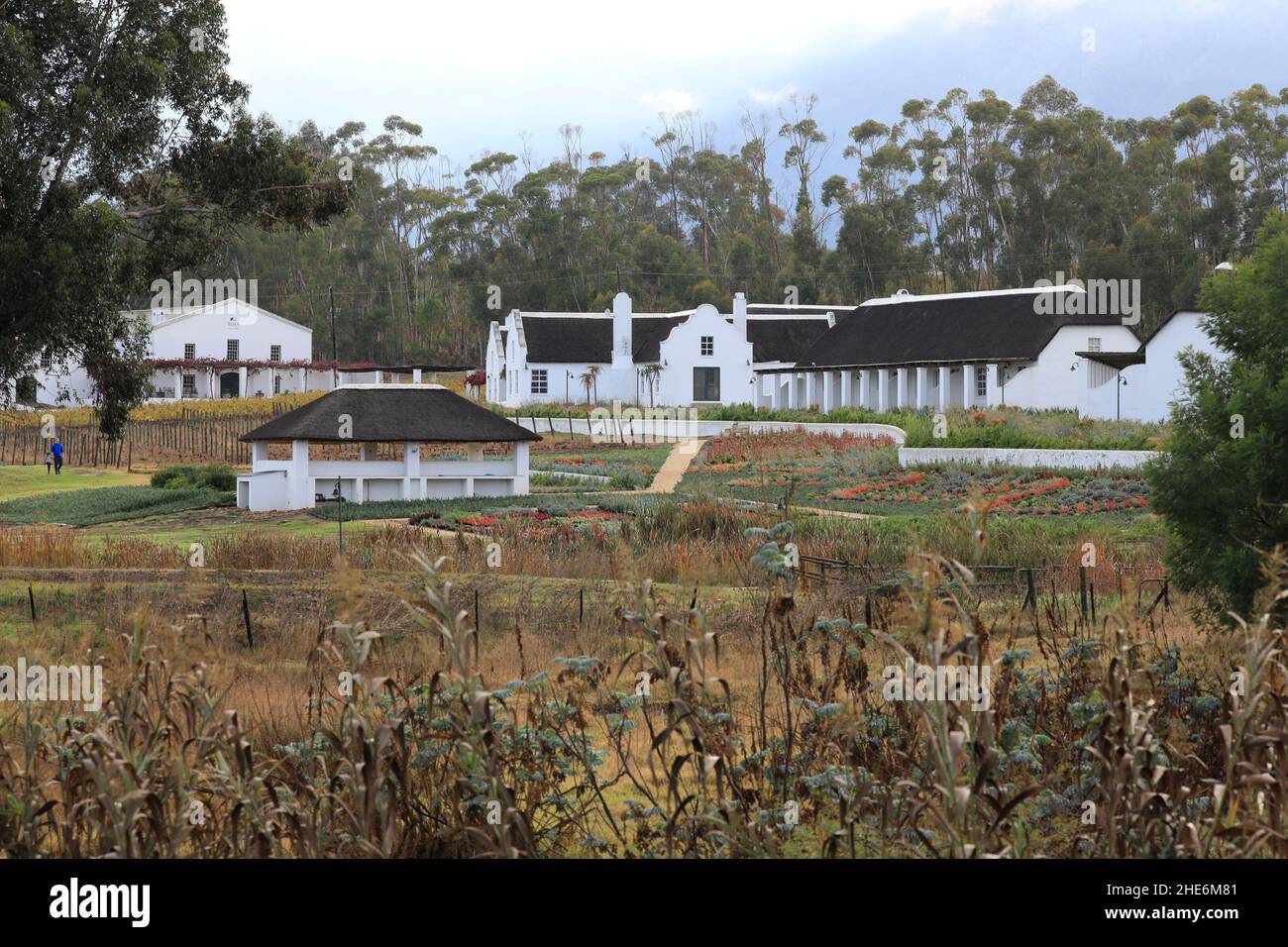 Manley Wine Estate, Tulbagh, Western Cape Province, South Africa. Stock Photo