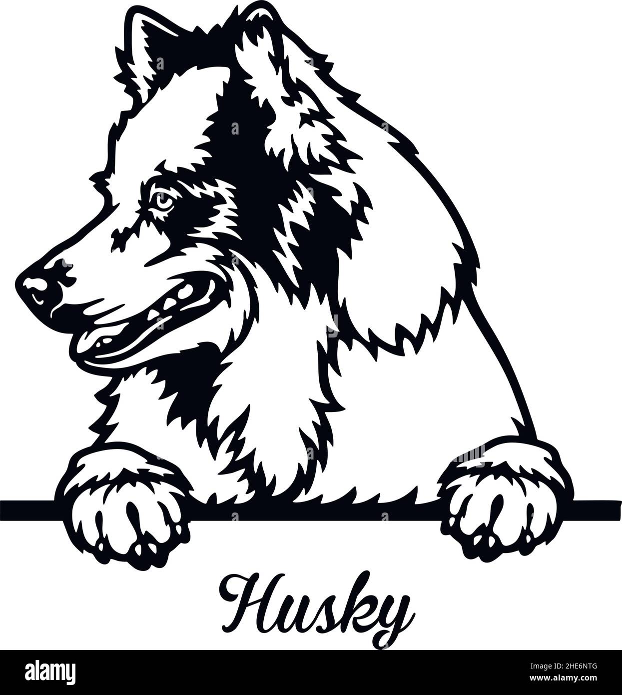 Husky Peeking Dog - head isolated on white - vector stock Stock Vector ...