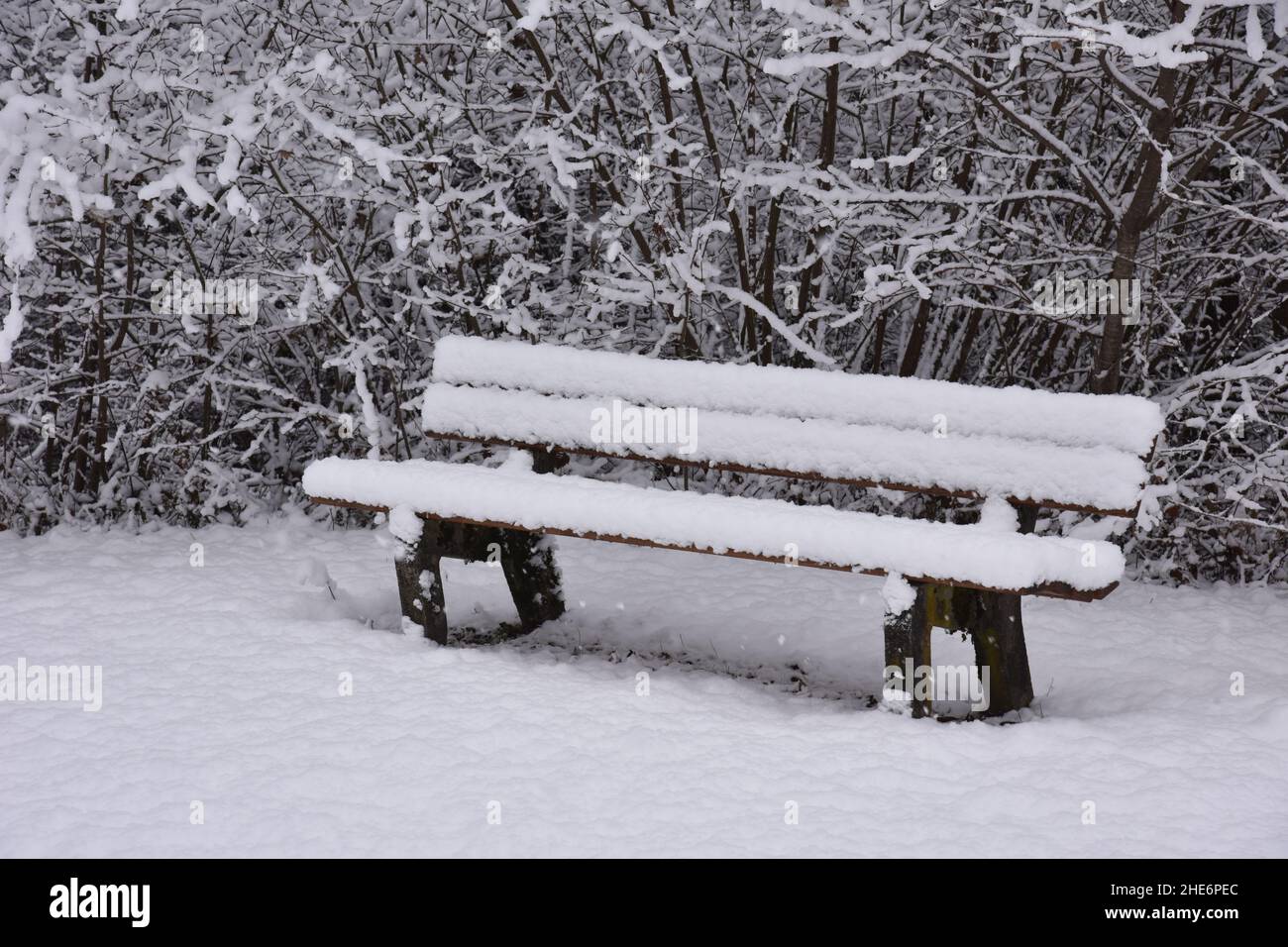 Wooden bench in a park fully covered in snow Stock Photo - Alamy