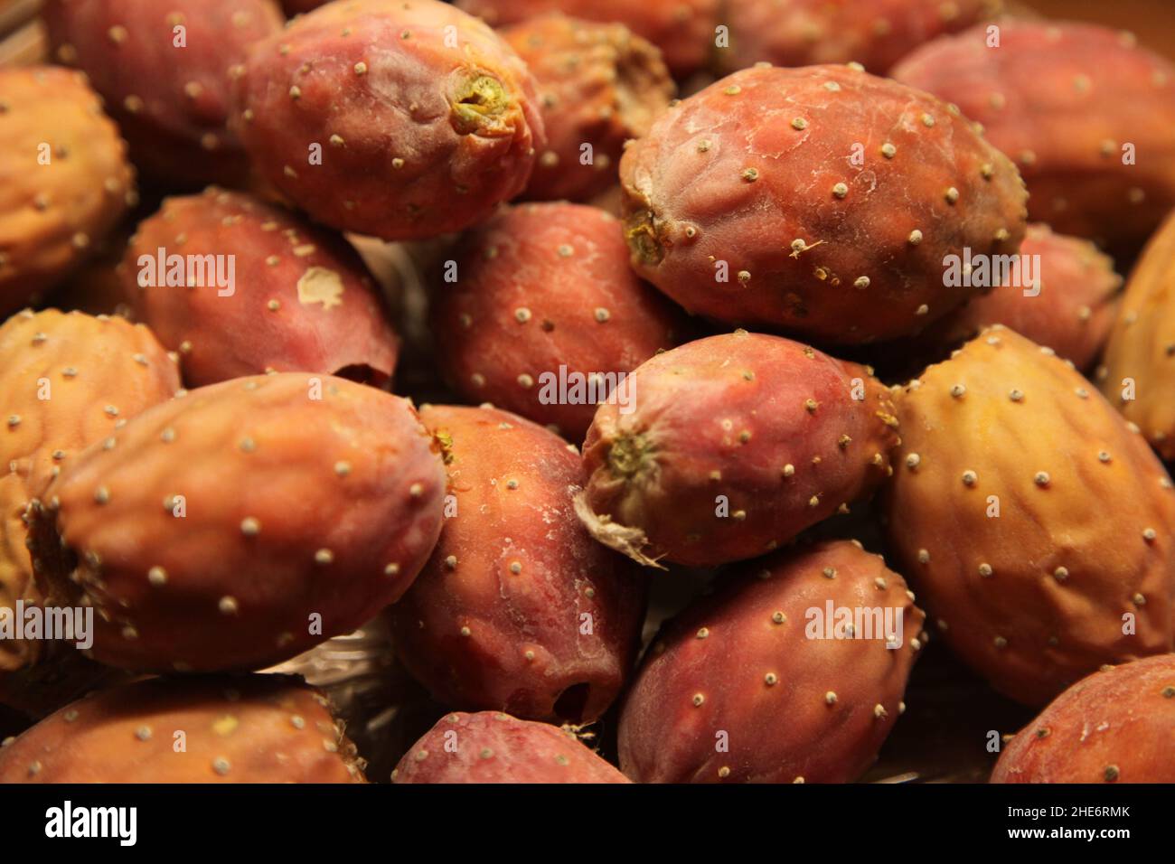 Prickly pear. Ripe cactus fruits. Stock Photo