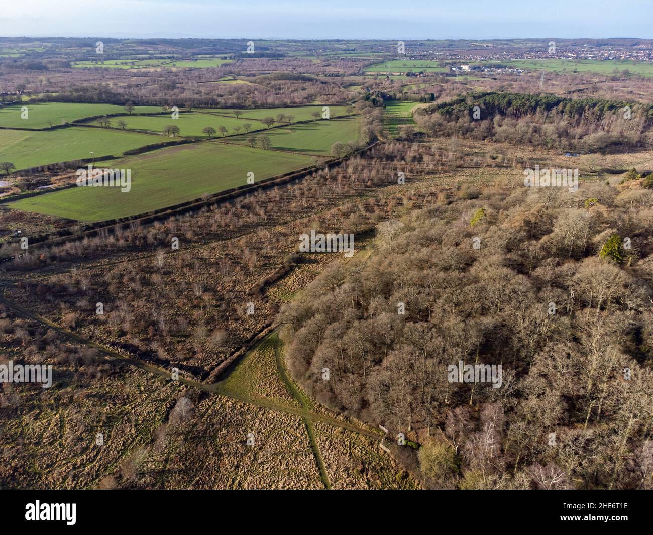 Drab colourless trees in winter in the Warwickshire countryside, England as seen from the air. Stock Photo