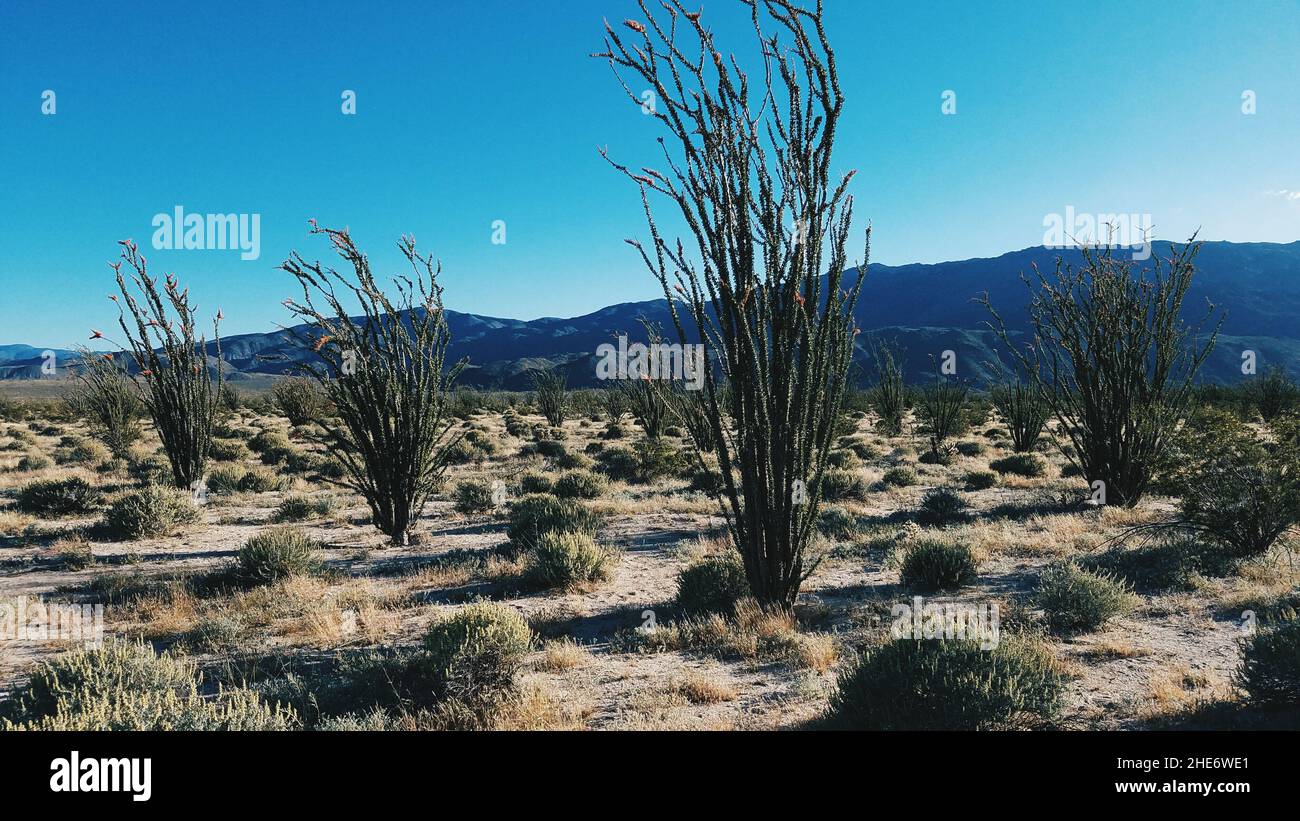 Landscape of a deserted area surrounded by hills covered in greenery under the sunlight Stock Photo