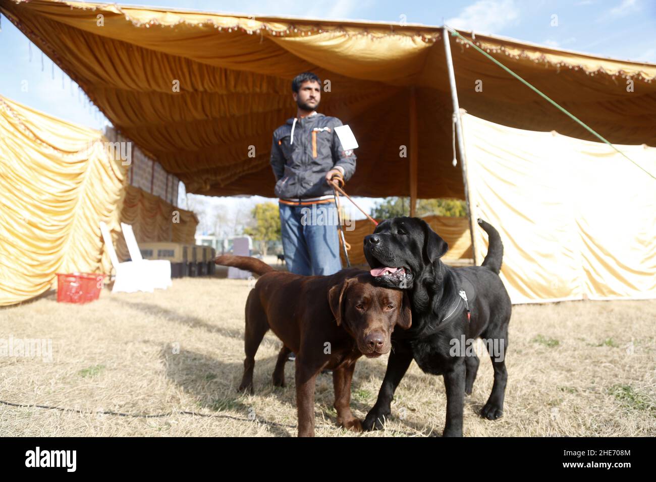 Islamabad, Pakistan. 9th Jan, 2022. A man is seen with his dogs during