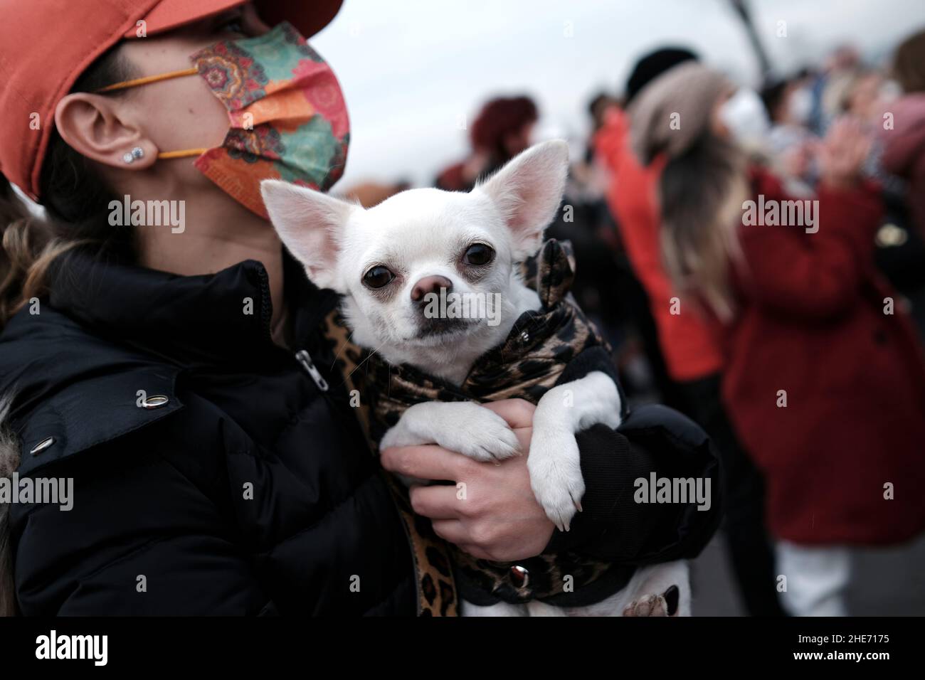 An animal rights activist takes part in a demonstration with her pet dog demanding protection of stray dogs and cats, in Istanbul, Turkey January 9, 2022. REUTERS/Murad Sezer Stock Photo