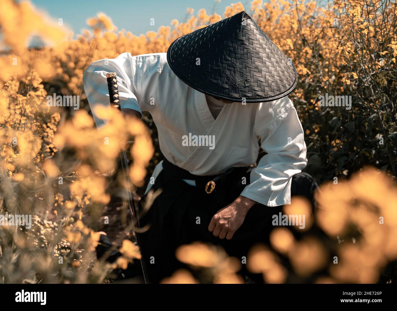 Male in a black Vietnamese straw hat in a field Stock Photo Alamy