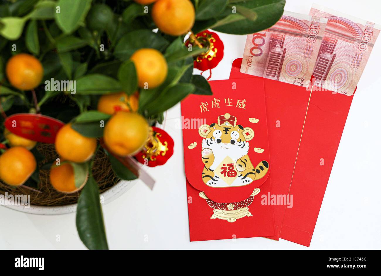 chinese new year prosperity words