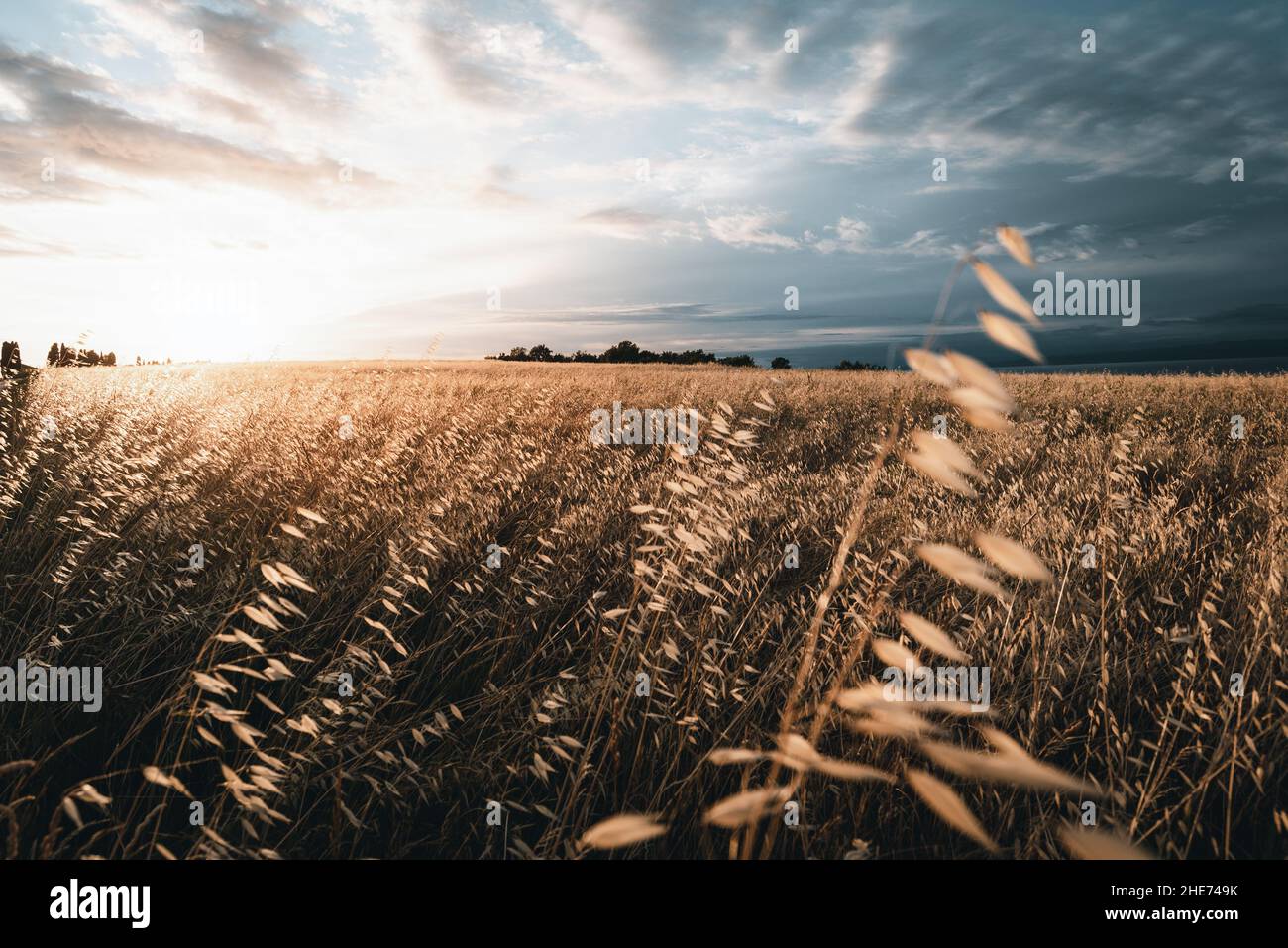 Wonderful sunset hi-res stock photography and images - Alamy