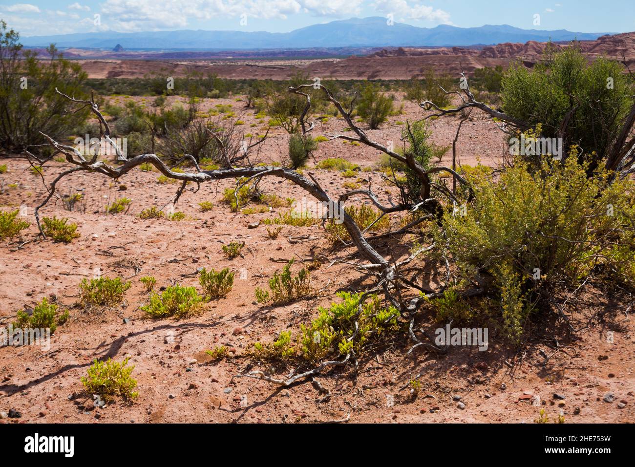 La rioja paysage hi-res stock photography and images - Alamy