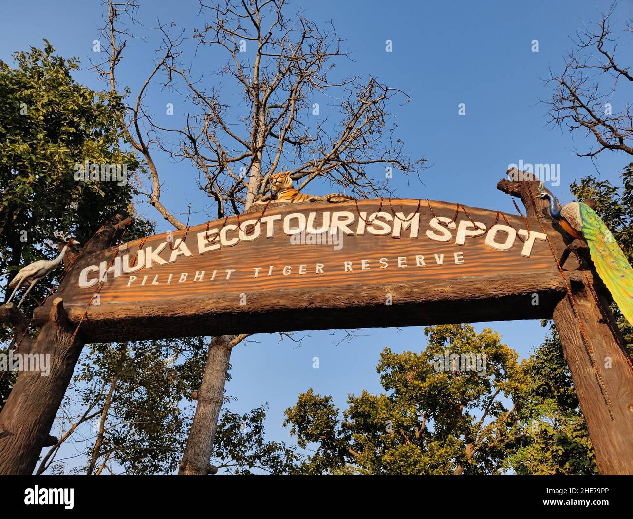 Chuka Ecotourism Spot in Pilibhit Tiger Reserve, Uttar Pradesh, India Stock Photo