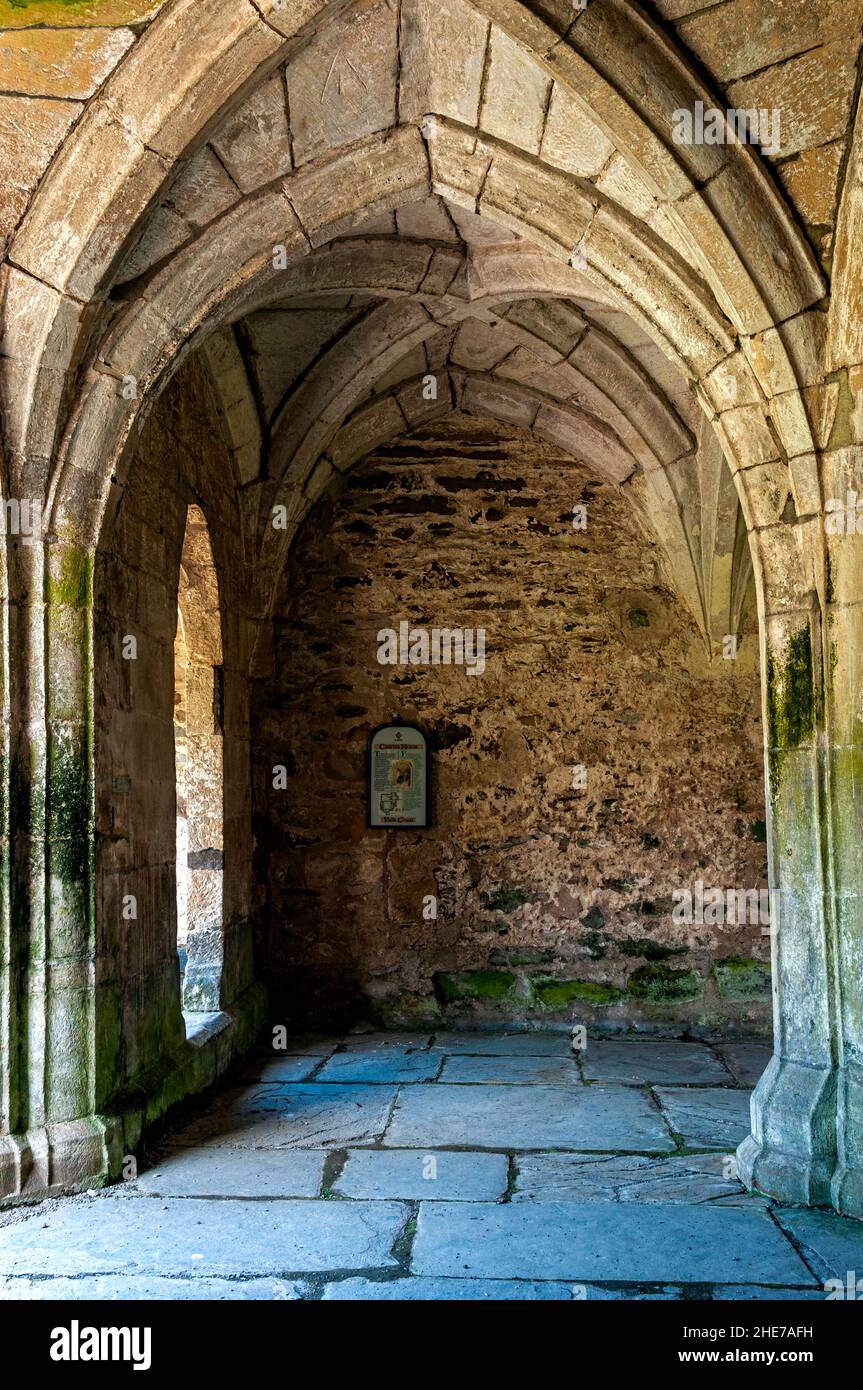 The vaulted ceiling of the entrance to the Chapter House of Valle Crucis Abbey founded in 1201 by Madog ap Gruffydd Maelor, Prince of Powys Fadog, Stock Photo