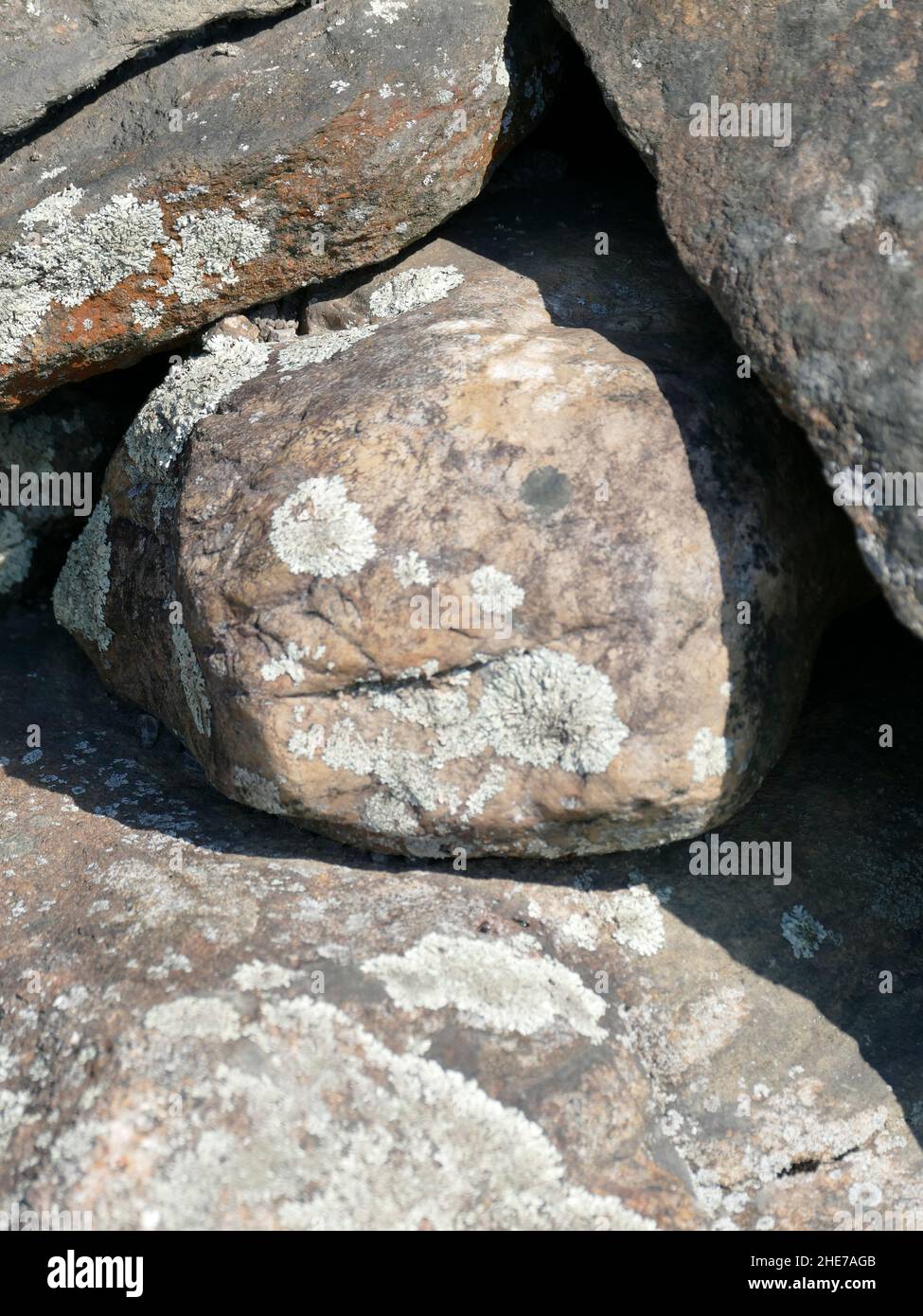 https://c8.alamy.com/comp/2HE7AGB/close-up-photograph-of-gray-rocks-growing-light-green-lichen-creating-a-spotted-pattern-on-the-rock-surface-2HE7AGB.jpg