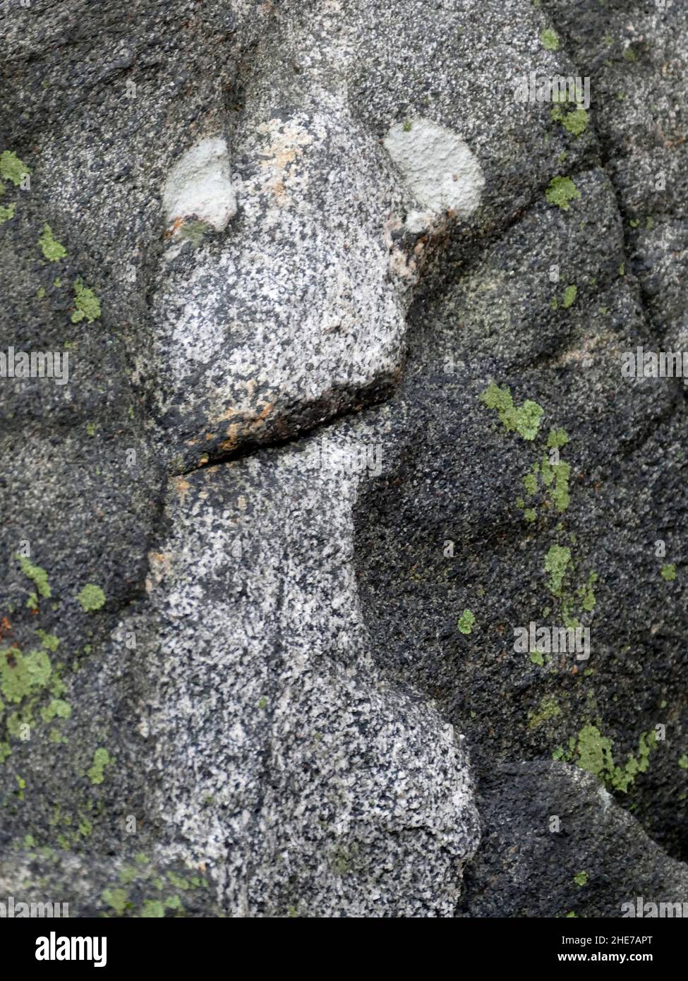 Grey Spotted Rocks Close Up Photograph of Gray Rocks Growing Light Green Lichen Creating a ...