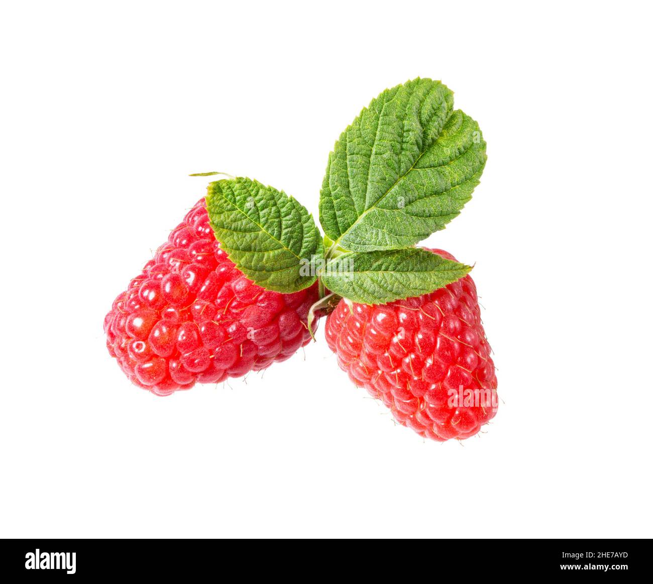 Raspberri berry with leaves isolated on white background. Ripe red raspberries  fruits close up. Collection. Stock Photo