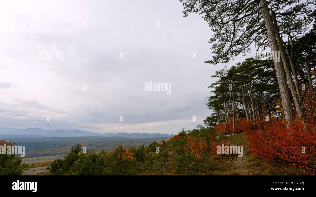 Scenic view of a landscape in autumn Stock Photo
