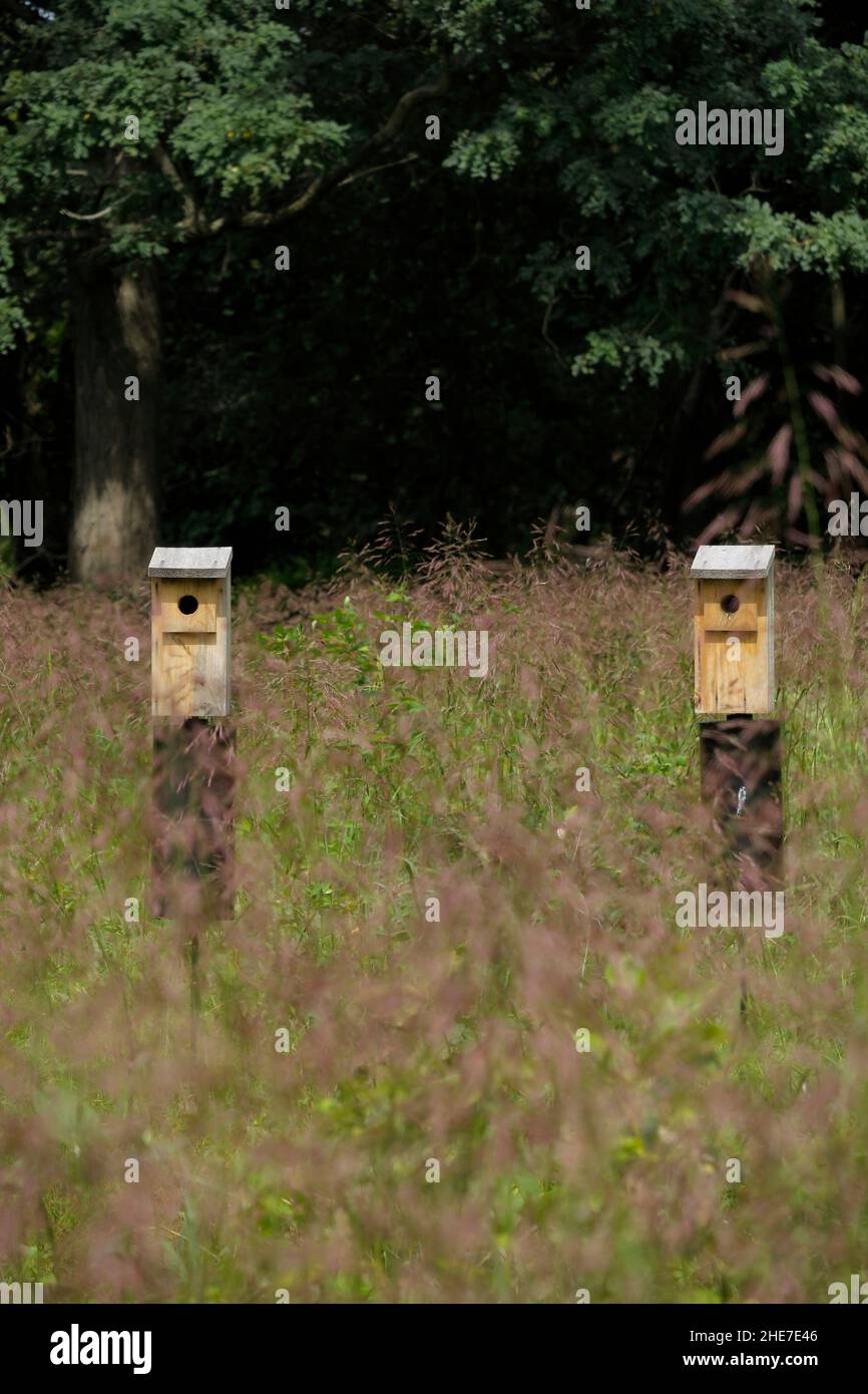 Wooden Bluebird Nesting House Birdhouse for Birds Stock Photo Alamy