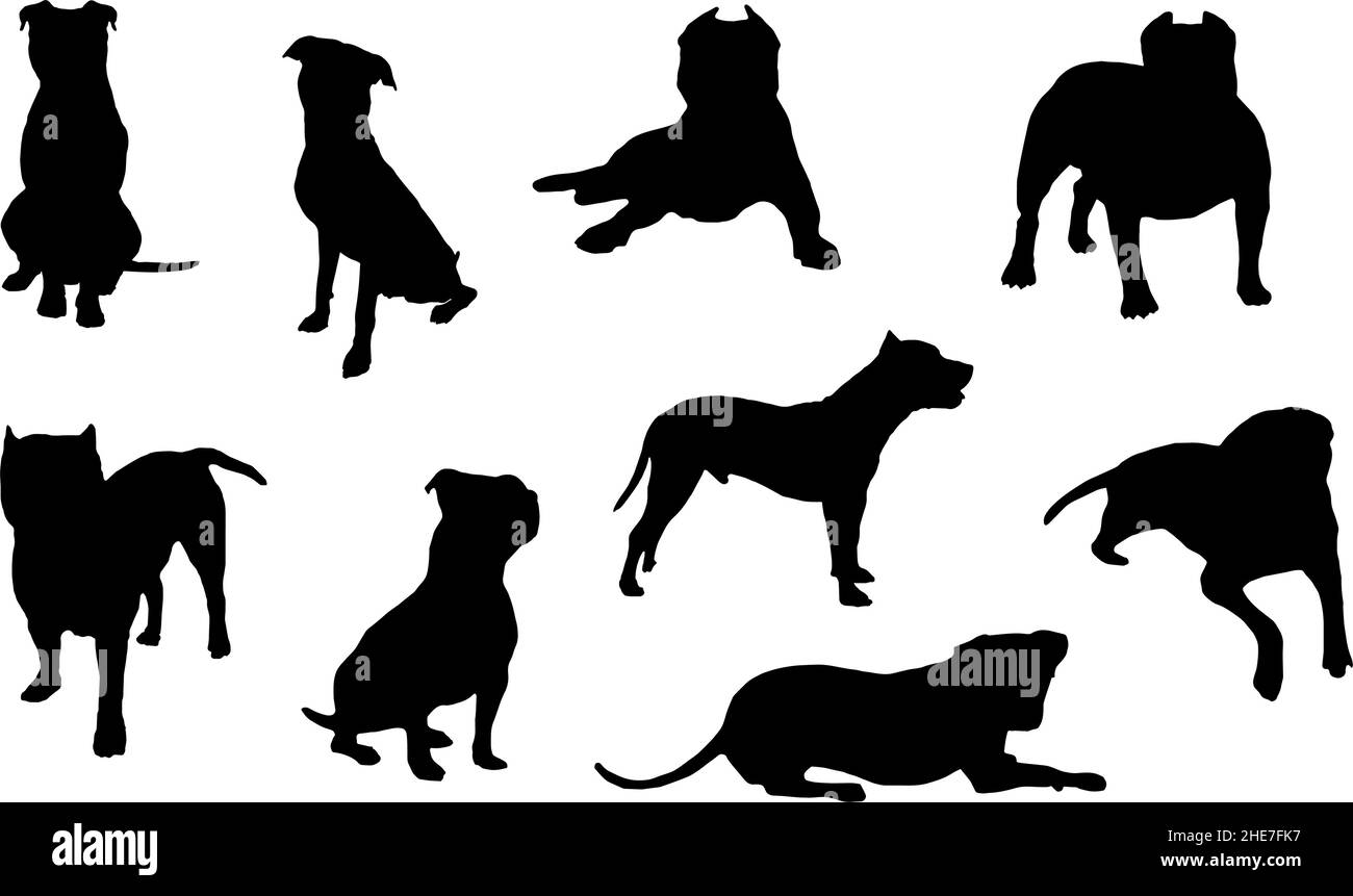 american pitt bull terrier silhouette dog bundle Stock Vector