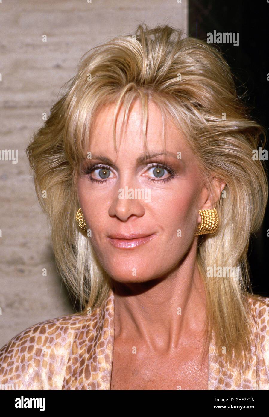 Joan Van Ark Circa 1980's Credit Ralph Dominguez/MediaPunch Stock