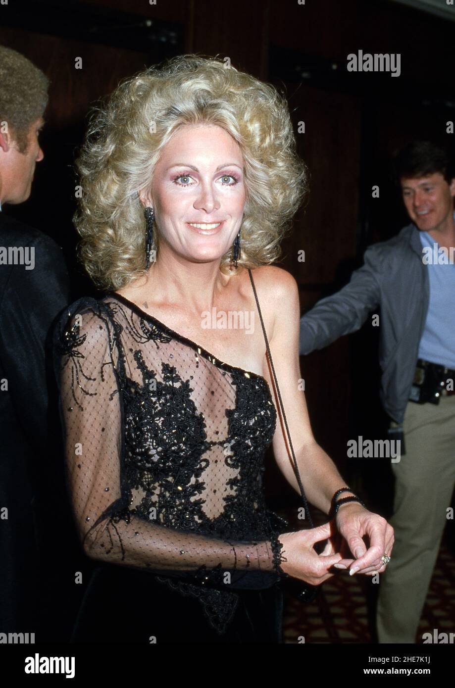 Joan Van Ark at the 23rd Annual International Broadcasting Awards on