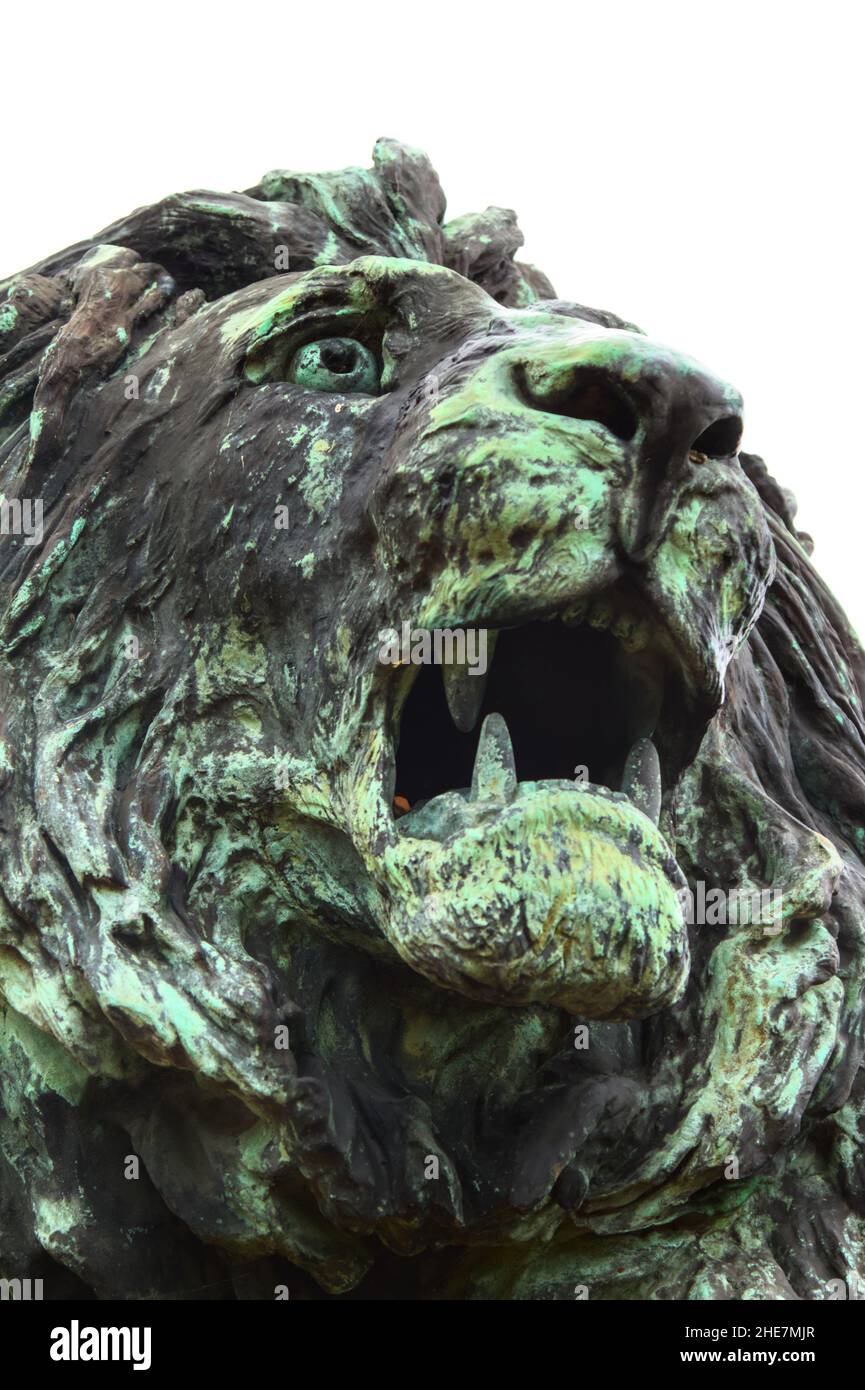 Front View Of The Head Of Bronze Snarling Roaring Lion Statue Holkham Hall UK Stock Photo