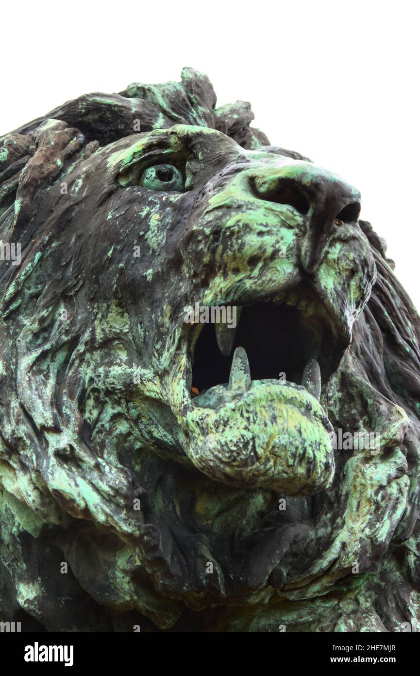 Front View Of The Head Of Bronze Snarling Roaring Lion Statue Holkham ...