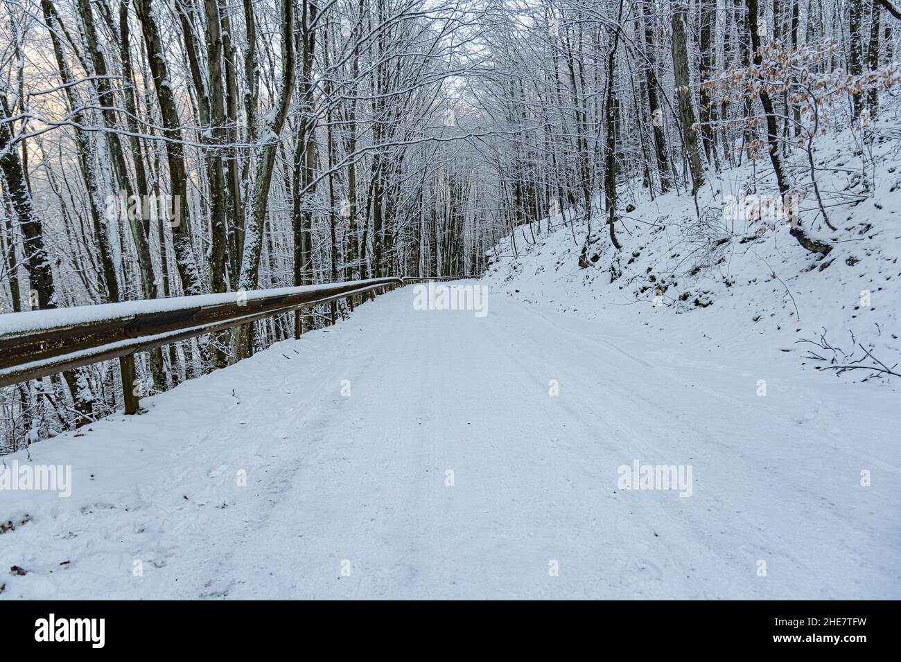 Icy road at night in forest hi-res stock photography and images - Alamy