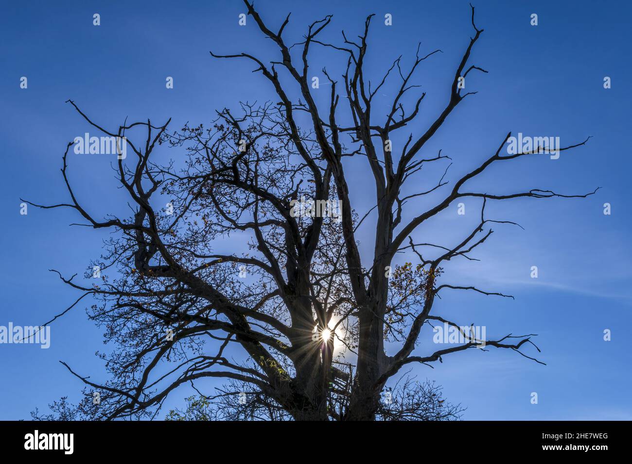 Shines blue hi-res stock photography and images - Alamy