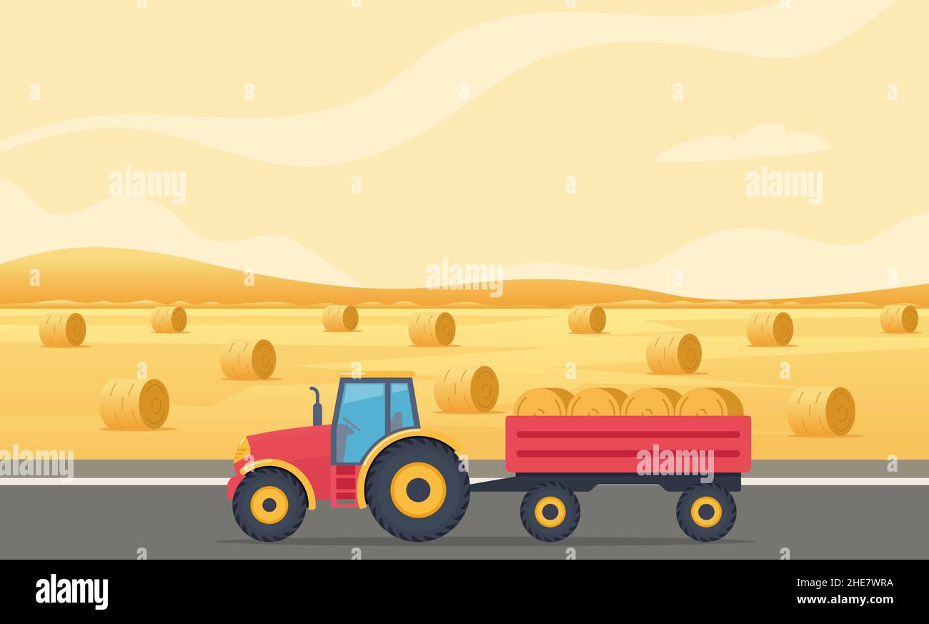 Farm scene with field and haystacks at sunset. Tractor with hay bales ...