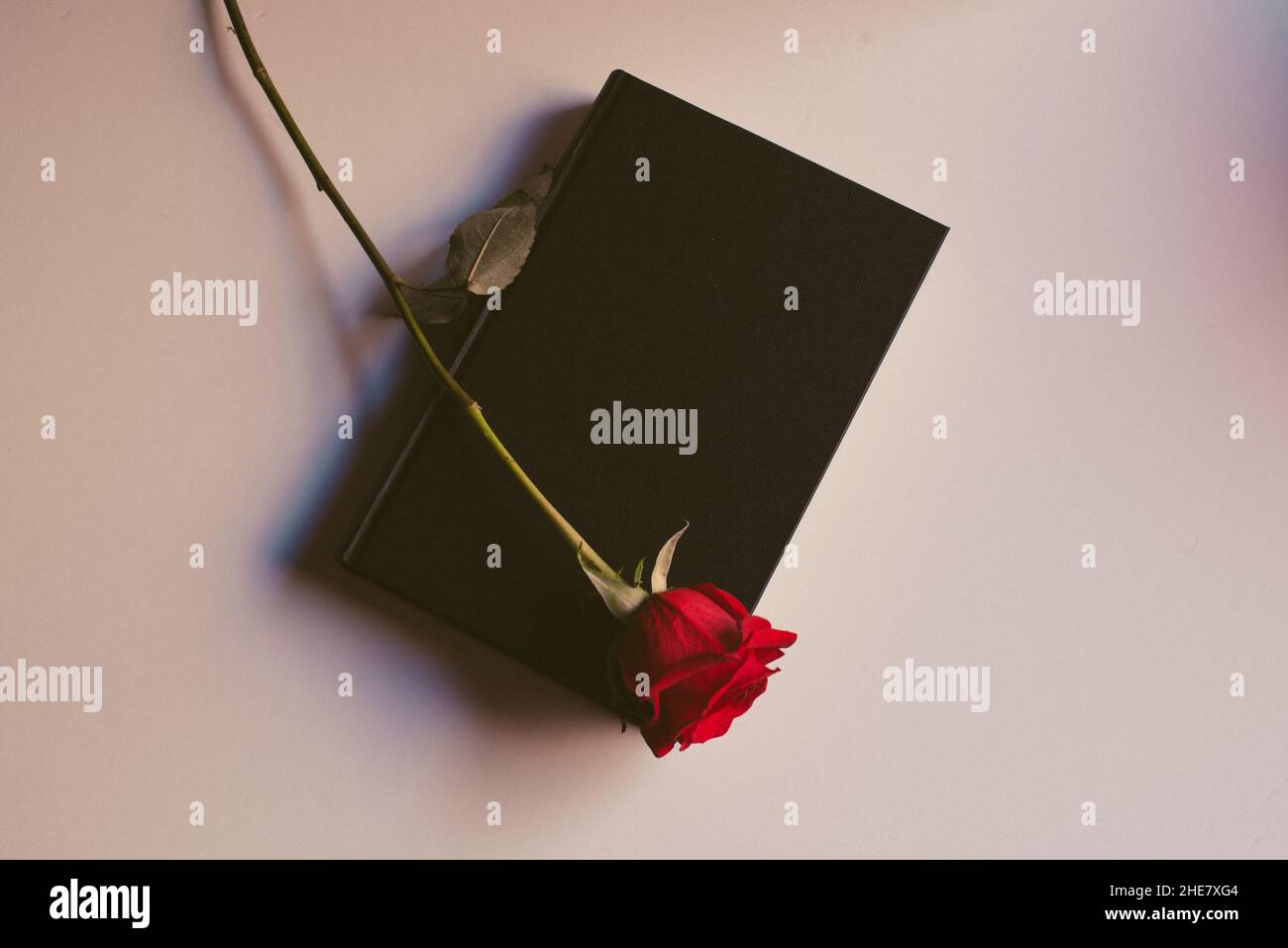 Book and rose. Saint George day. Sant Jordi day. Catalan tradition. Stock Photo