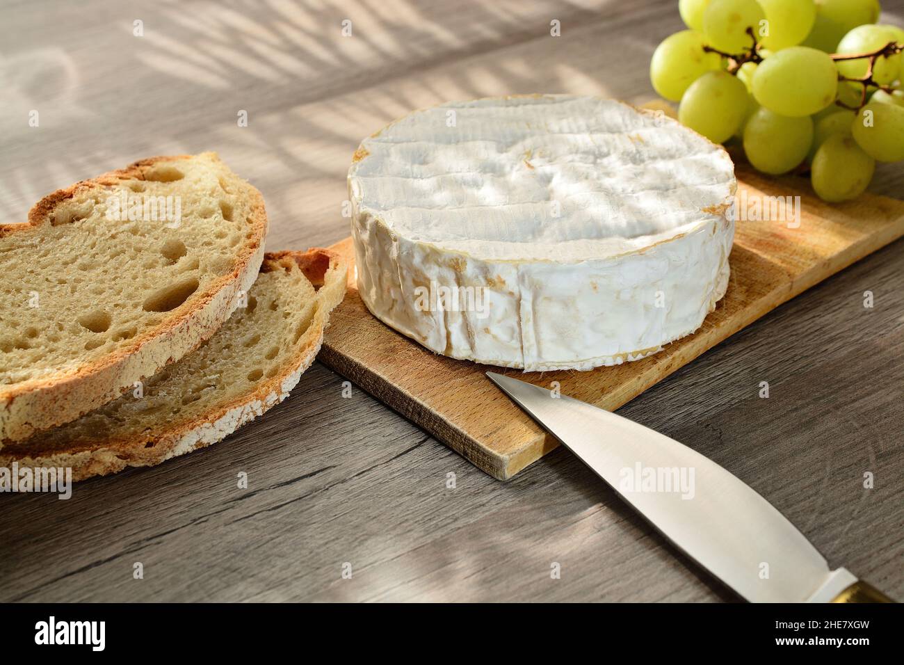 French camembert of Normandy served on wooden cutting board with grapes and slices of bread. Stock Photo
