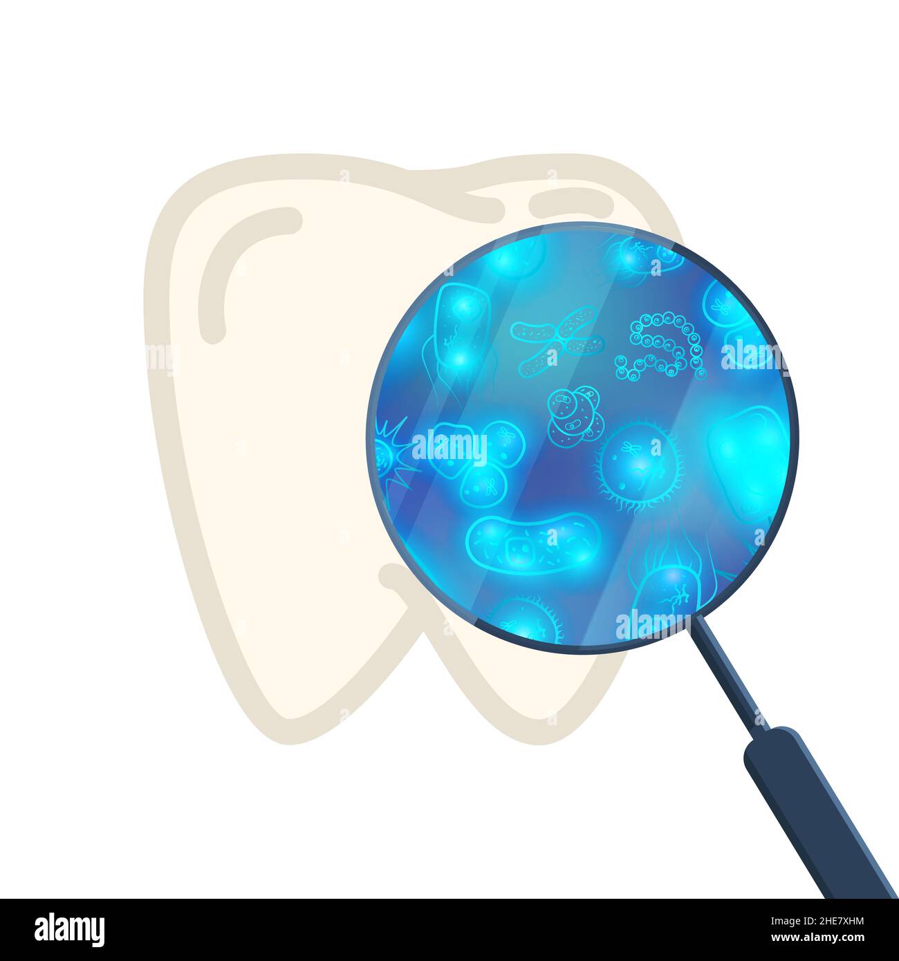A lot of bacterias and viruses on human tooth under magnifying glass on ...