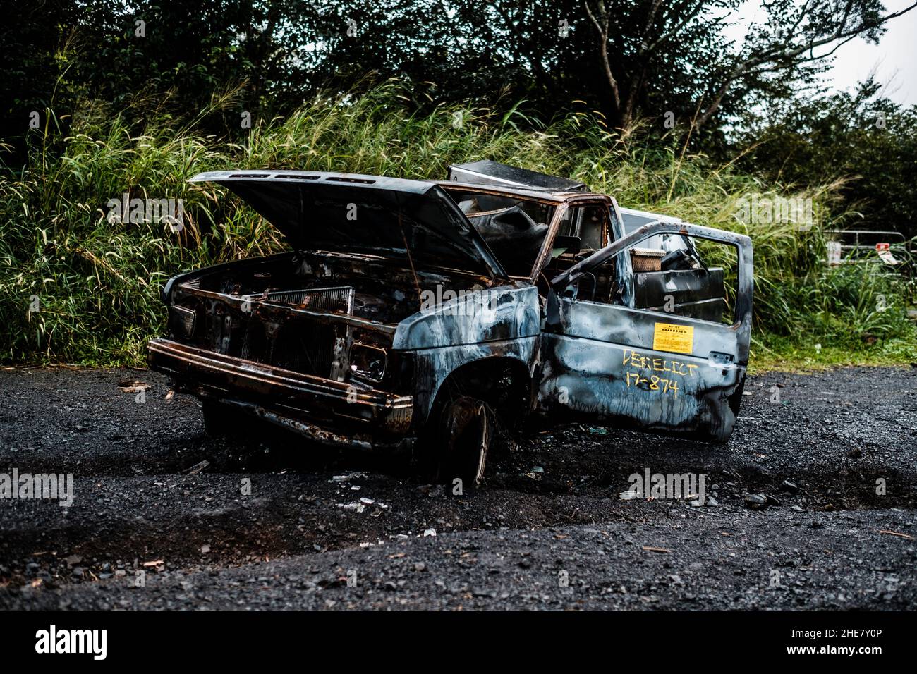 Car parked in a forest hi-res stock photography and images - Alamy