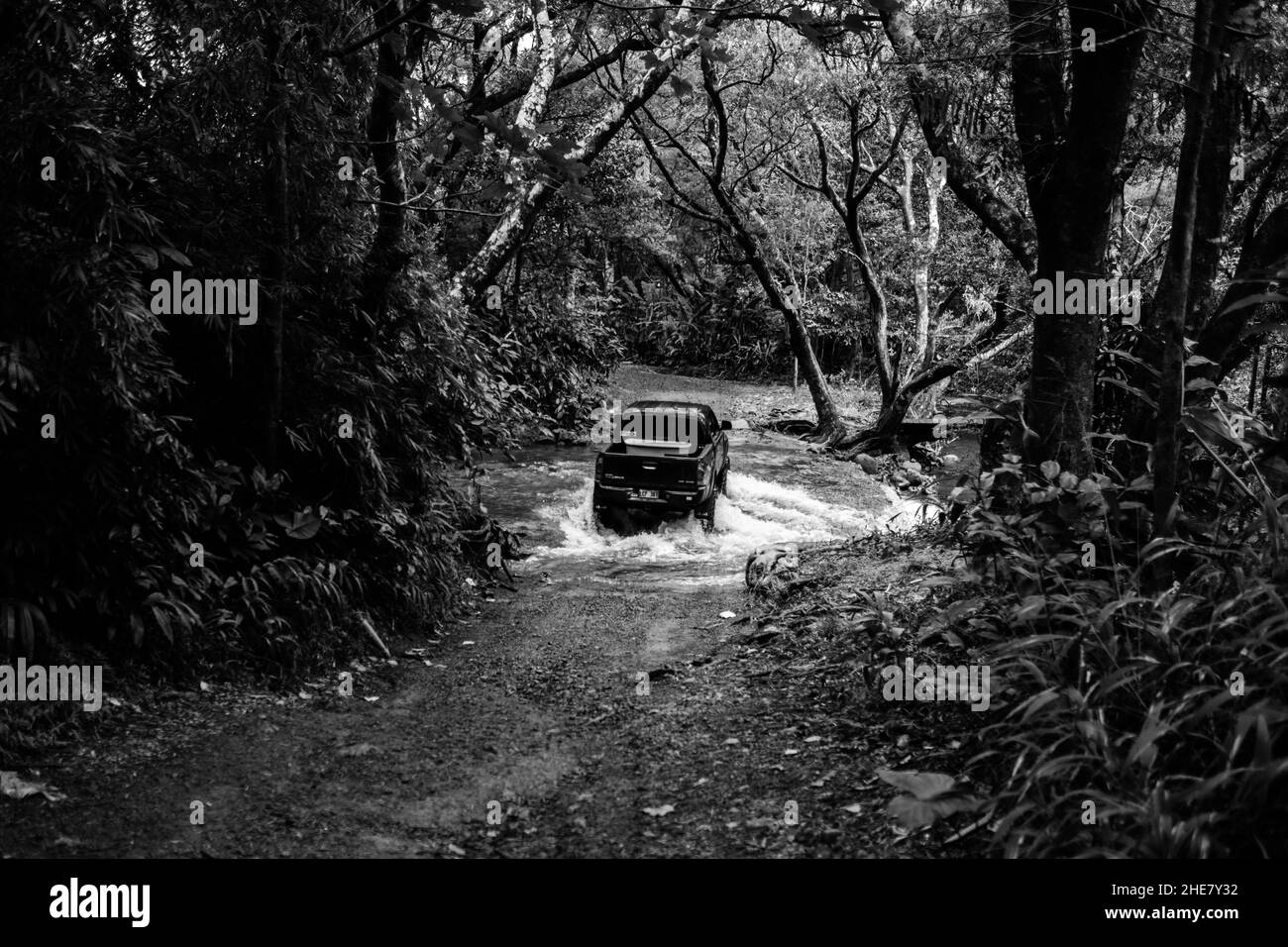 Damaged old car parked in a forest in Capetown, South Africa Stock Photo