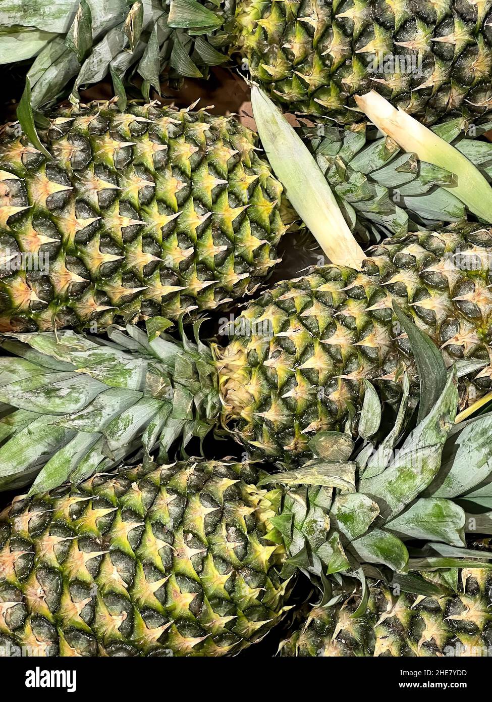 Ananas pattern hi-res stock photography and images - Alamy