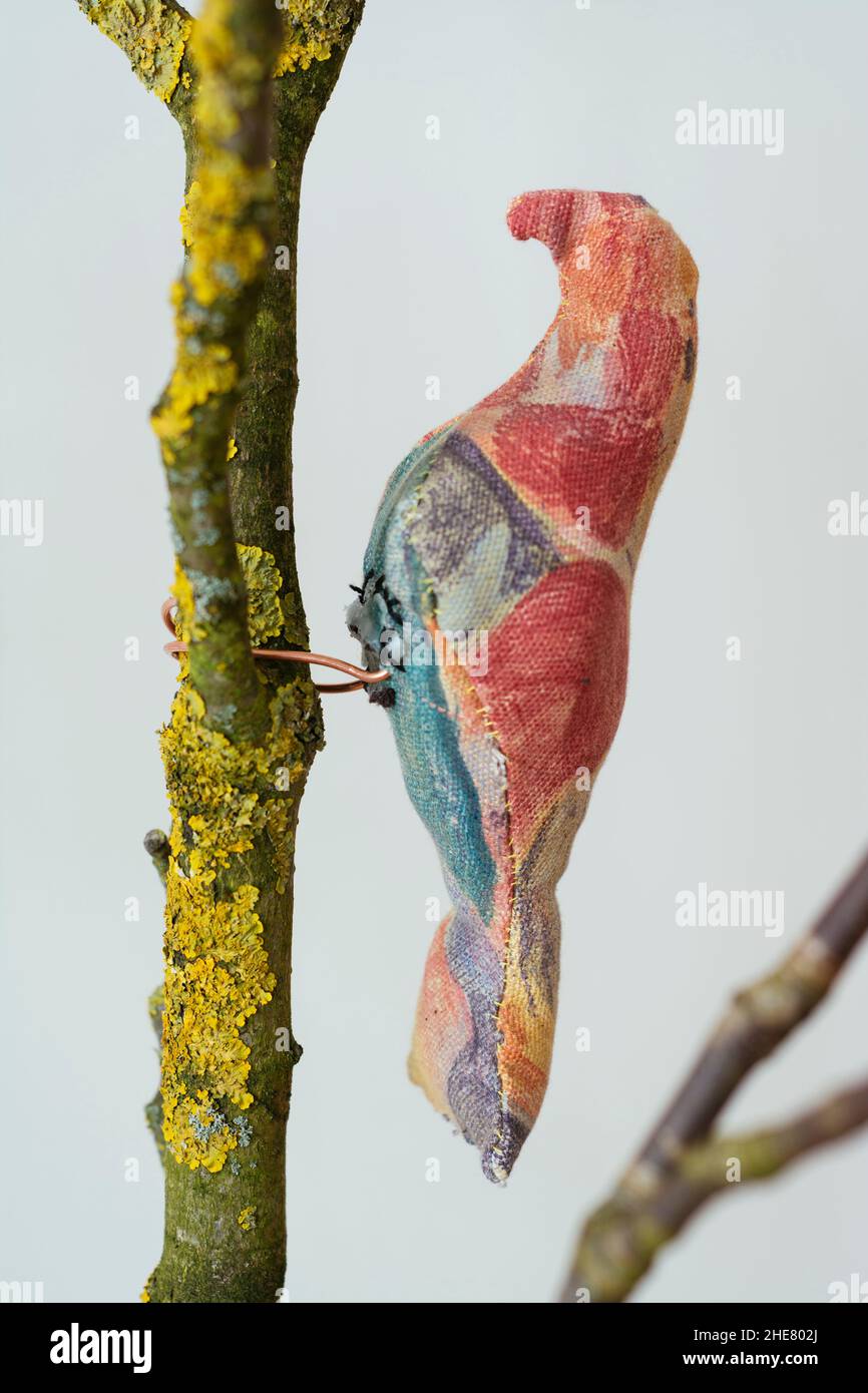 Home made bird softie on a branch. Stock Photo