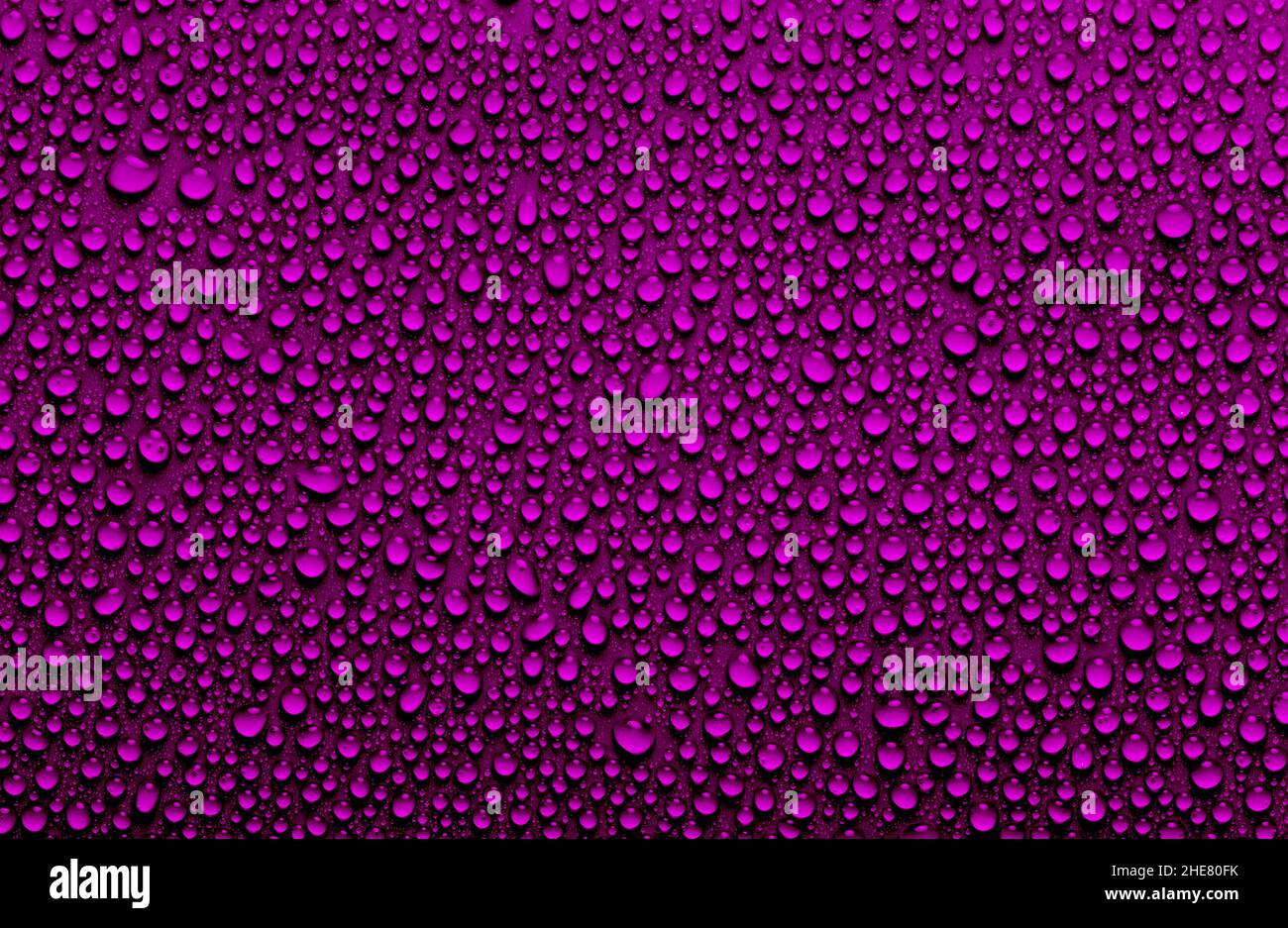 Velvet violet colored rain drops background, water droplet texture Stock Photo