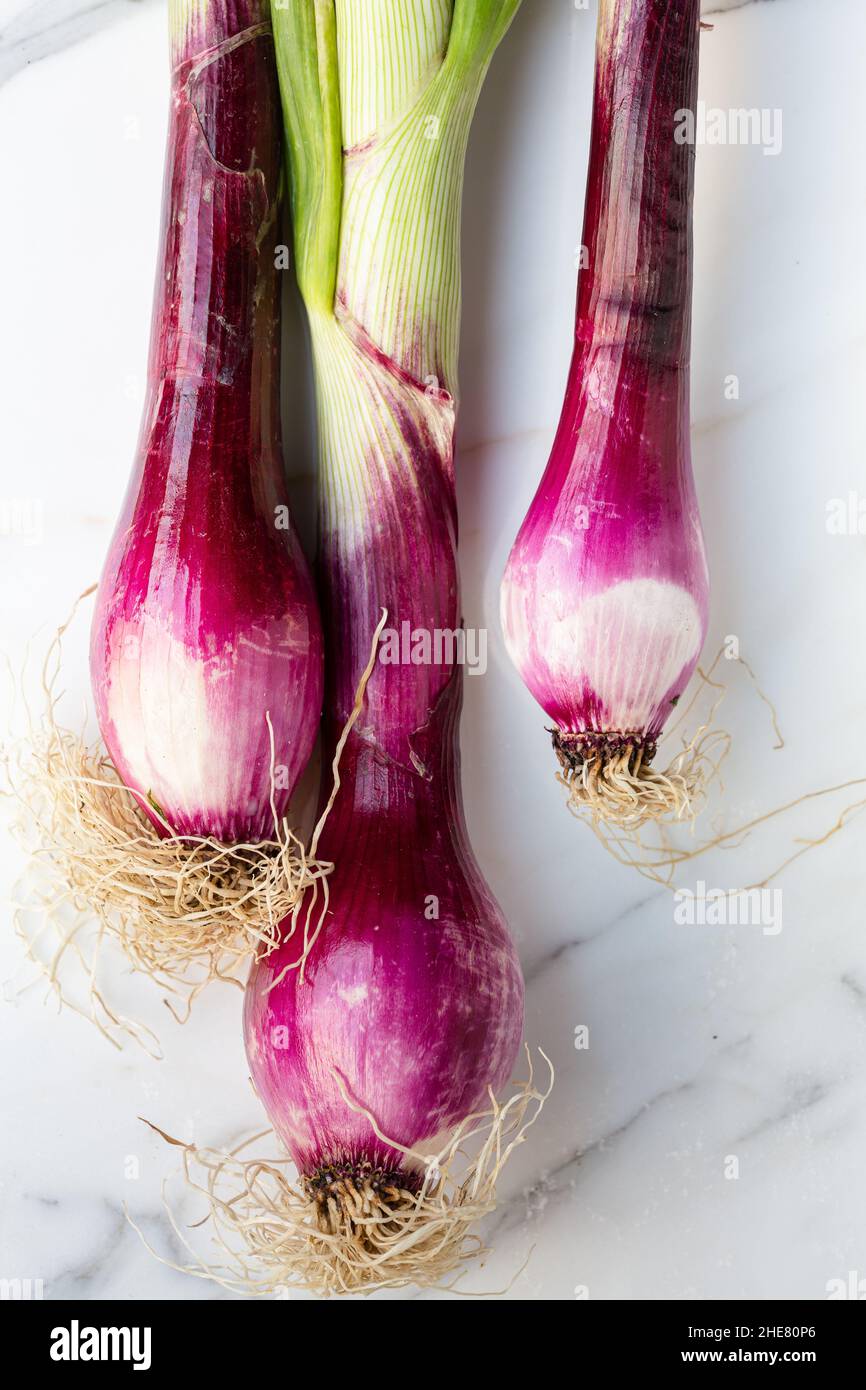 close up of Tropea onions, from Calabria , Italy Stock Photo
