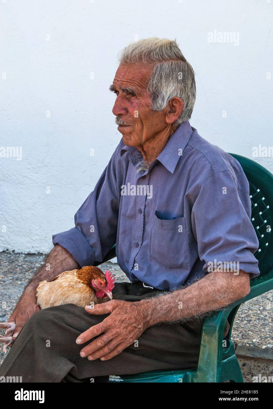 An old man selling chickens in Paphos market, Cyprus. Stock Photo