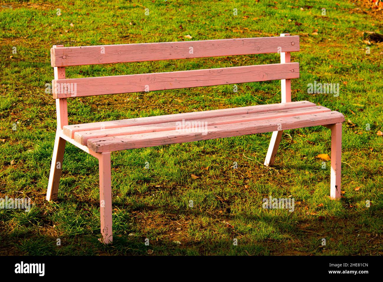 Pink bench on green grass. Stock Photo