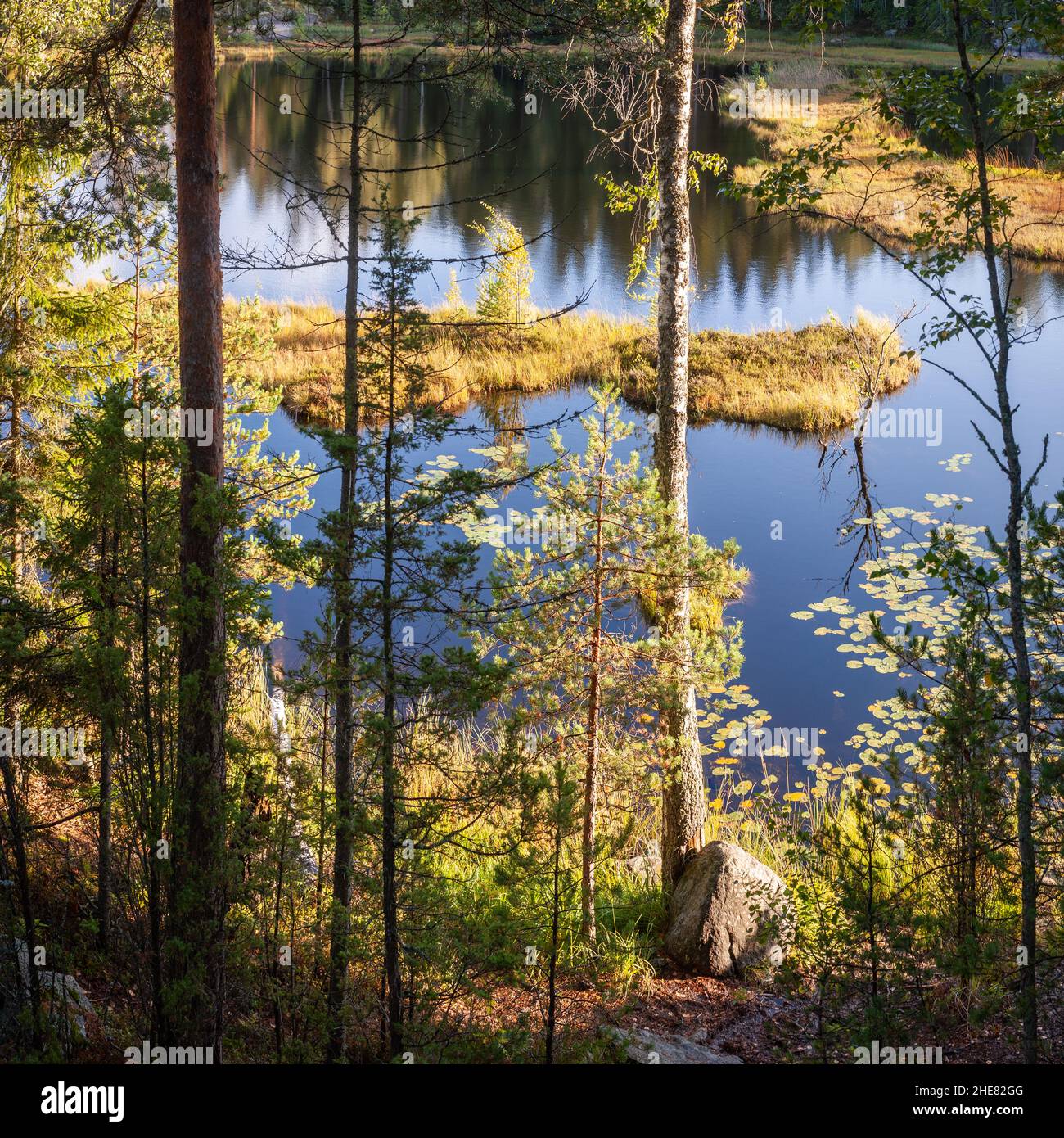 Mustalampi lake, Nuuksio National Park Stock Photo - Alamy