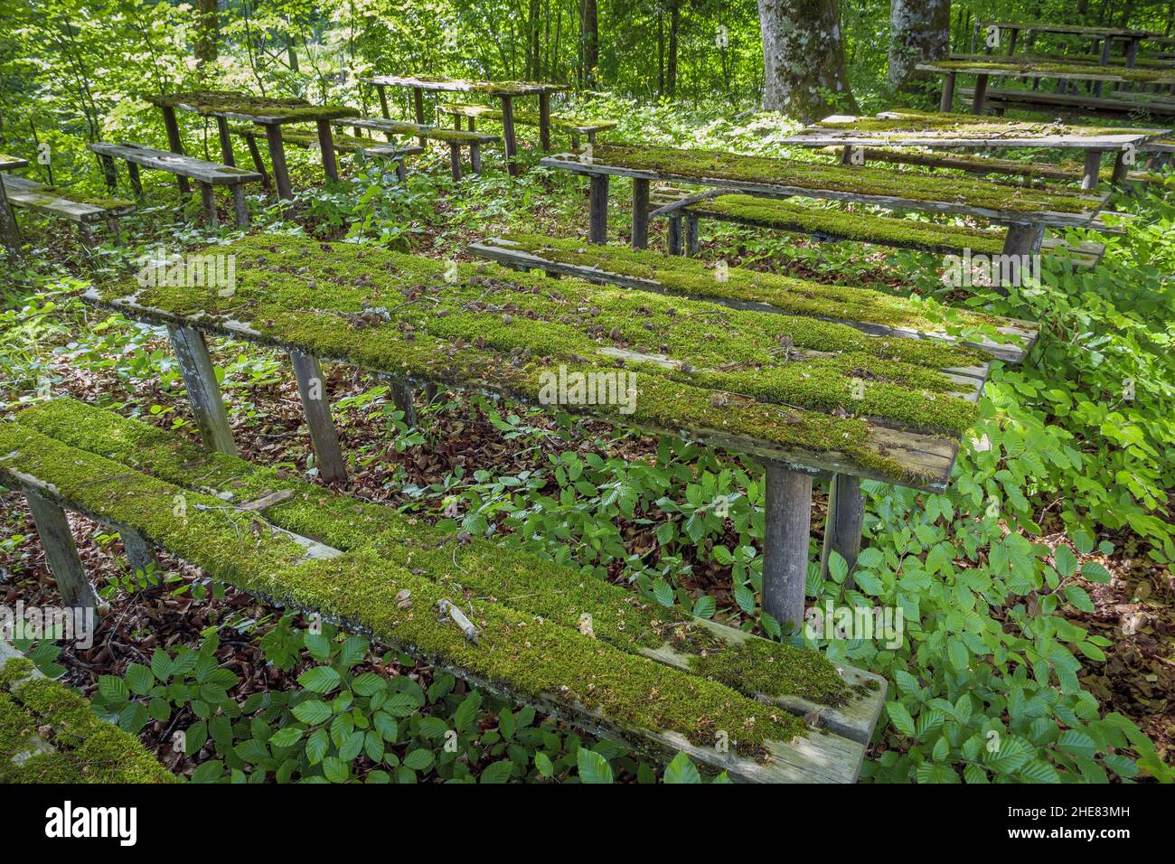 Overgrown beer garden, Obermuehltal, Bavaria, Germany Stock Photo