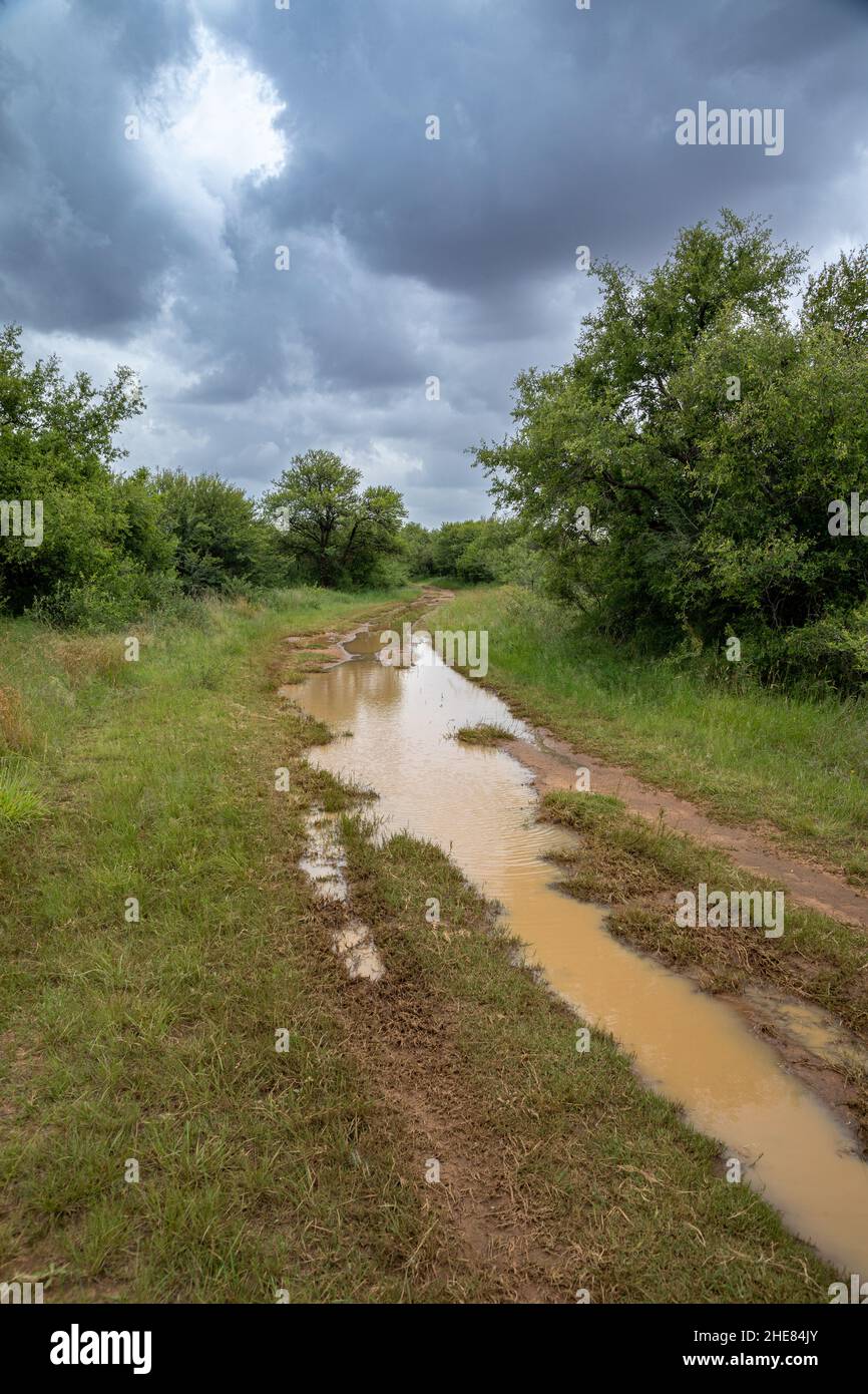 Dirt road in the countryside after a thunder storm.  There is a large puddle of mud water Stock Photo