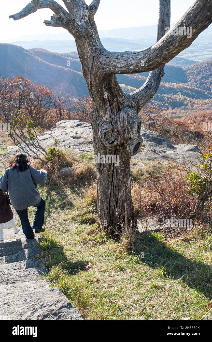 Woman and child walk down from Skyline Drive on a portion of the Appalachian trail. Stock Photo