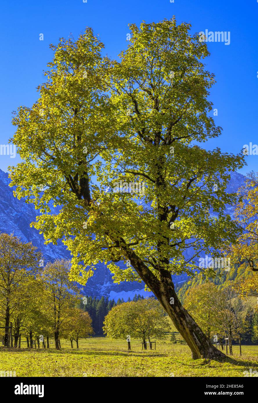 Grosser Ahornboden, Karwendel Mountains, Tyrol, Austria, Europe Stock Photo