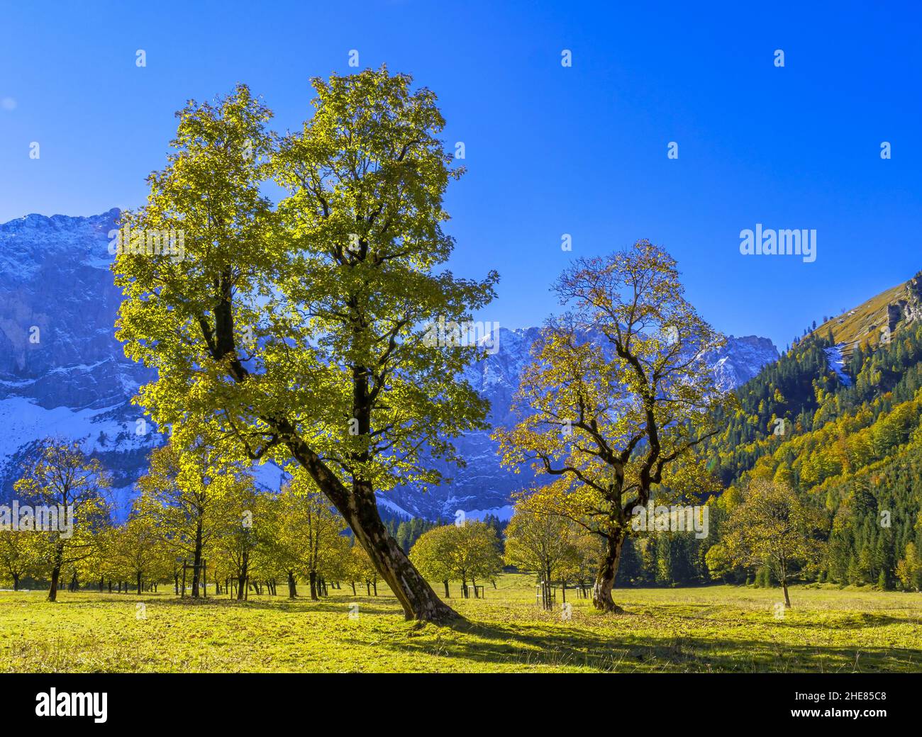 Grosser Ahornboden, Karwendel Mountains, Tyrol, Austria, Europe Stock Photo