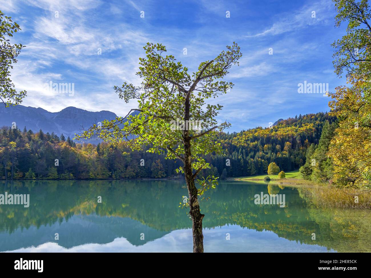 Alatsee near Füssen, Allgäu, Bavaria, Germany Stock Photo