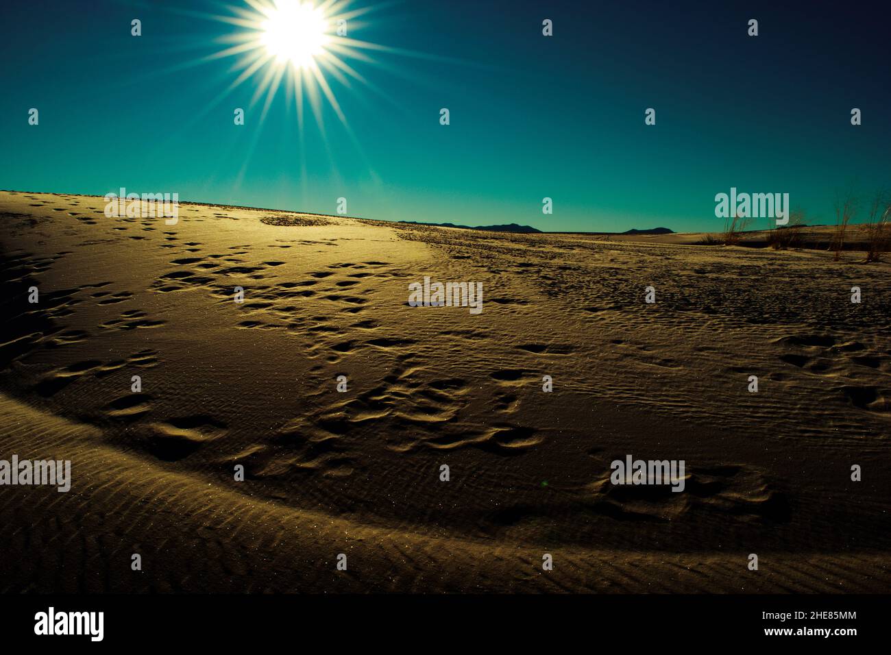 Footprints in the sand Stock Photo Alamy