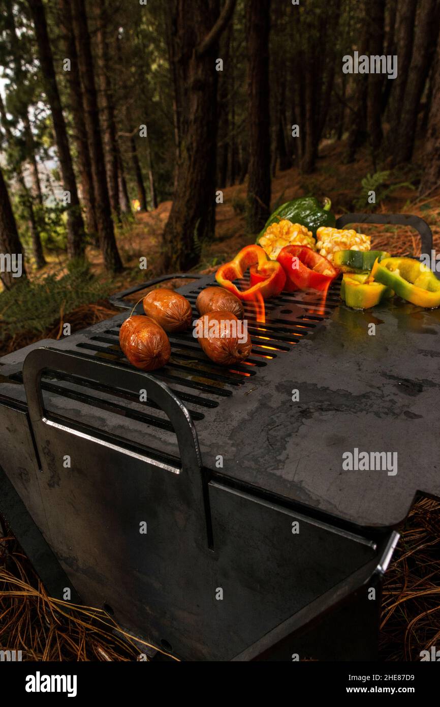 Different types and colors of vegetables and potatoes on the grill