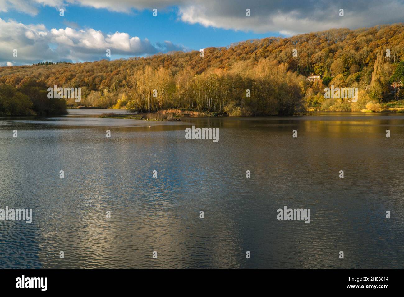 Bodenham lake nature reserve hires stock photography and images Alamy