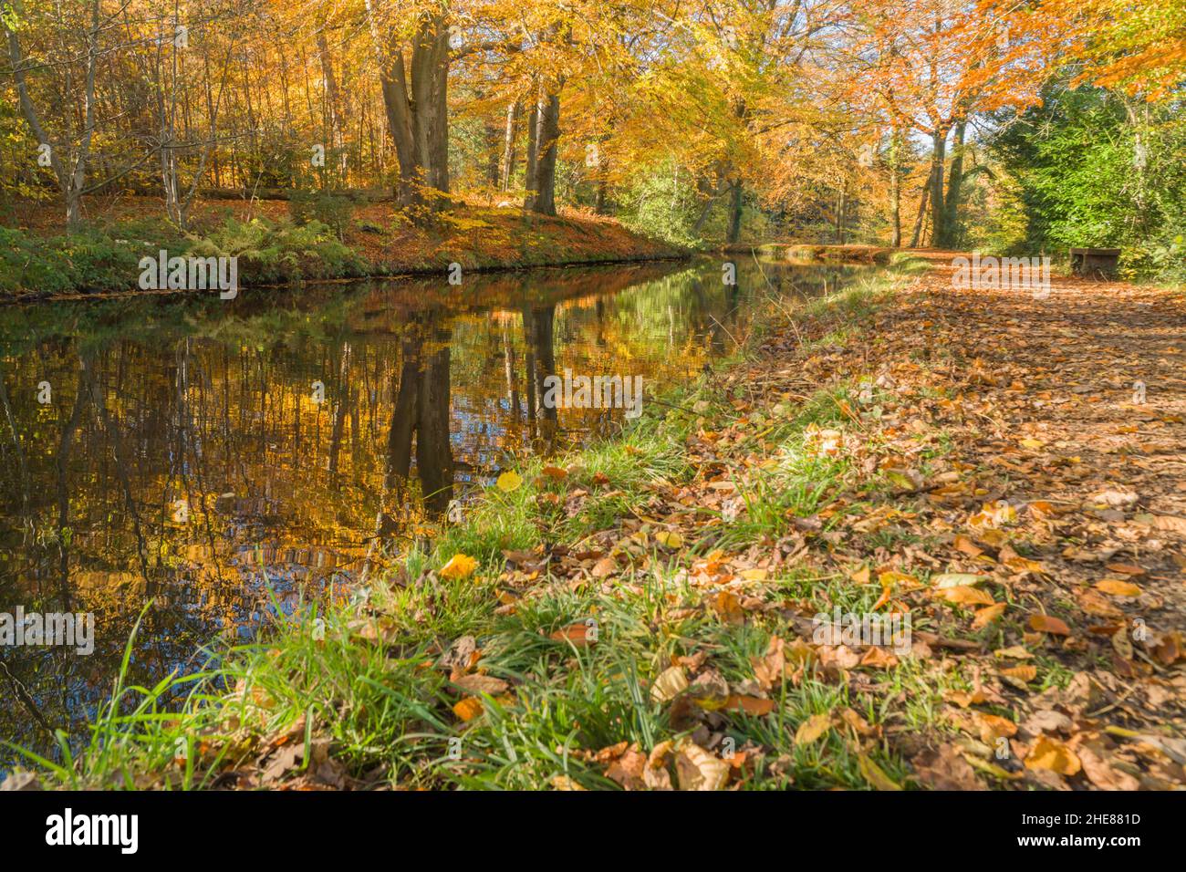 Autumn colours along the Monmouthshire and Brecon Canal, Abergavenny