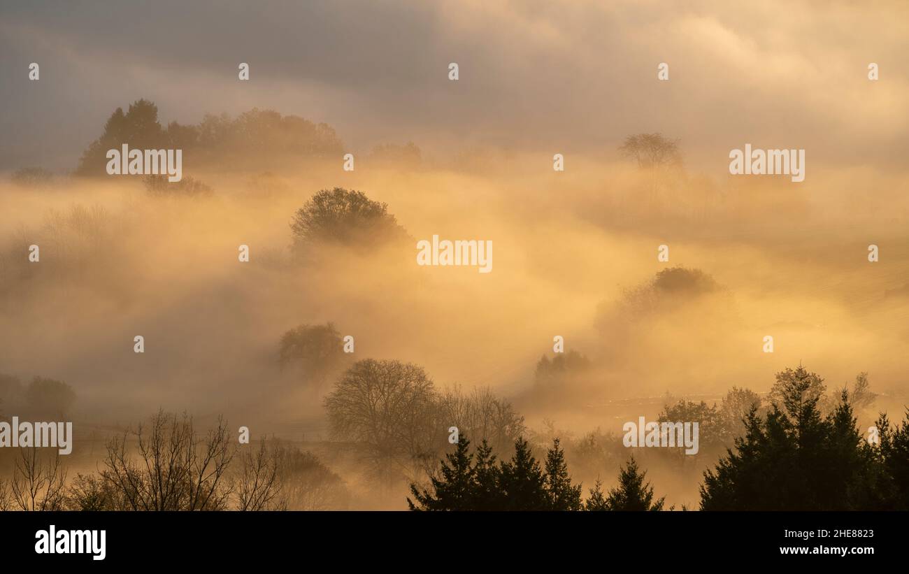 Sun-drenched landscape with tree silhouettes in the mist Stock Photo